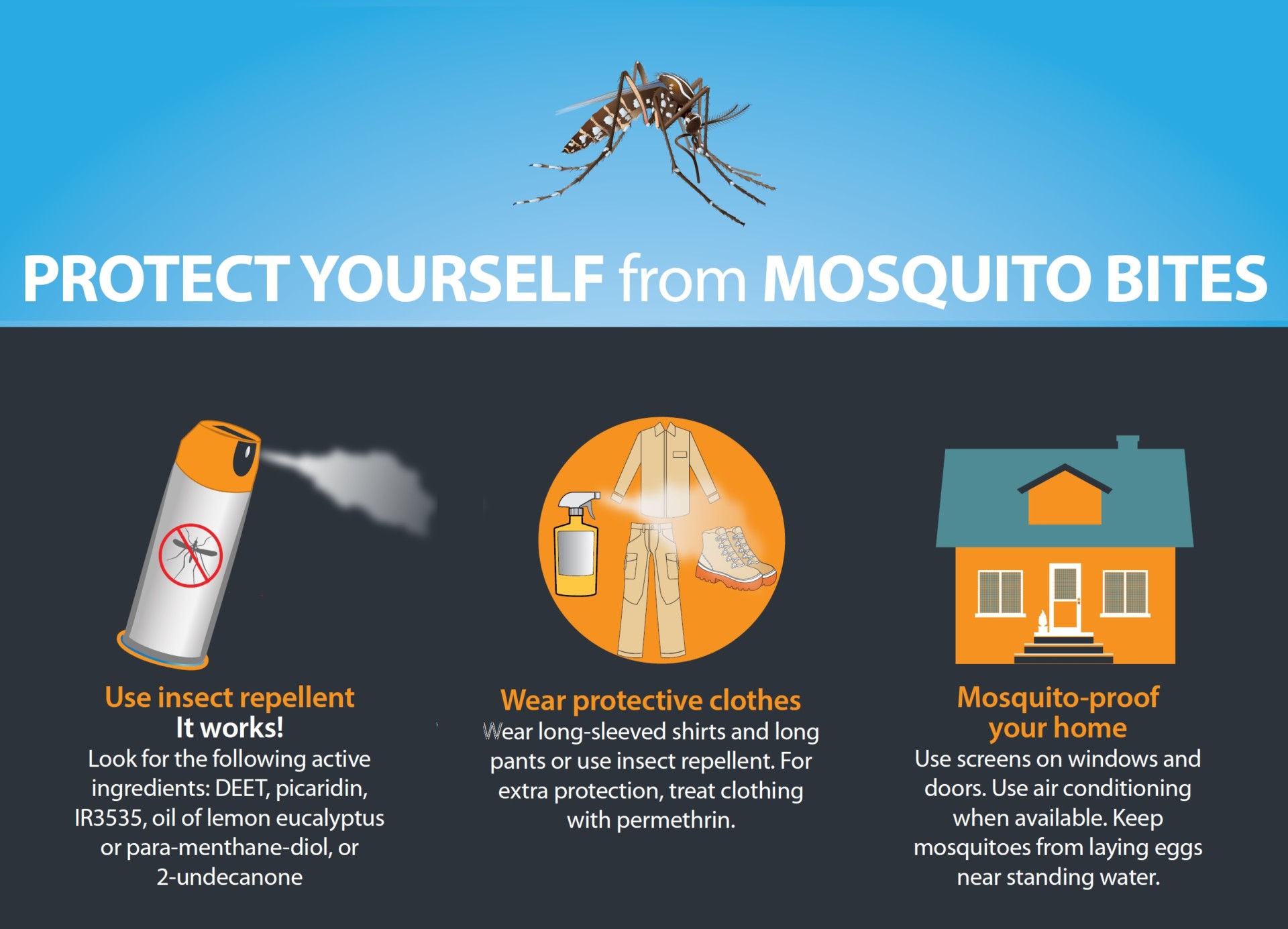 mosquito-types-what-attracts-mosquitoes